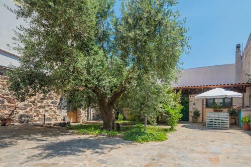 Apartamento Sa Dommo De Sa Pietate
