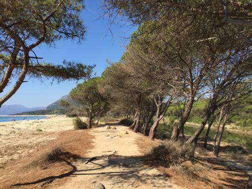 Apartamento Appartamento In Villa Andreina
