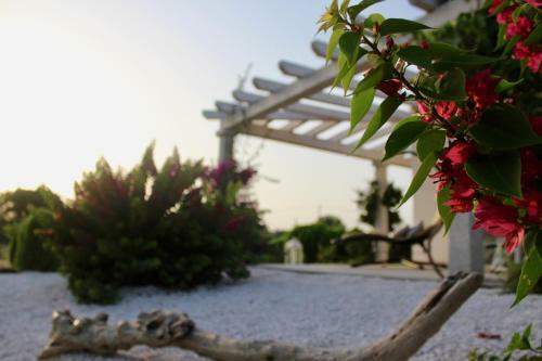 Luxury Country Villa By Sardiniagem, Walk To Beach