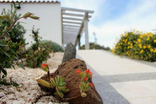 Luxury Country Villa By Sardiniagem, Walk To Beach