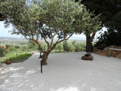 Residenza Belvedere