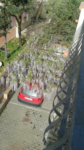 Apartamento Orthilippa