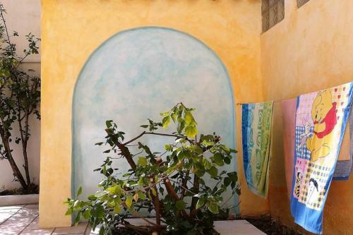 Apartamento Corte Jasmin Primula
