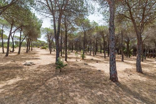 Apartamento Casa Tzia Maria