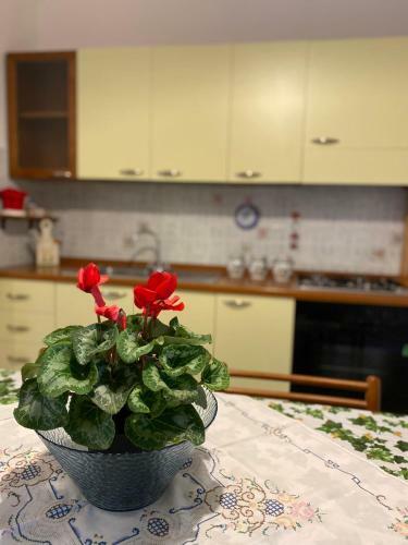 Apartamento Trilocale Piazza Italia