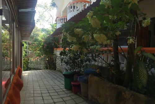 Hotel Coco Beach