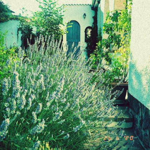 Bed & Breakfast Casa Sui Tetti