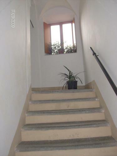 Apartamento Casa Maria E Casa Cristina
