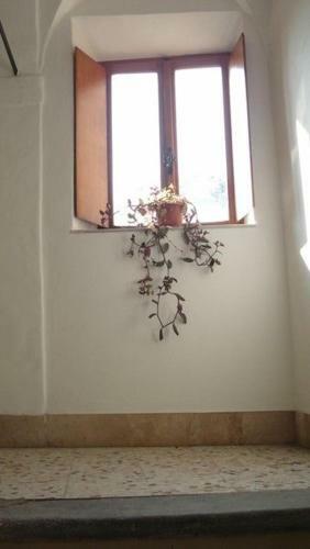 Apartamento Casa Maria E Casa Cristina