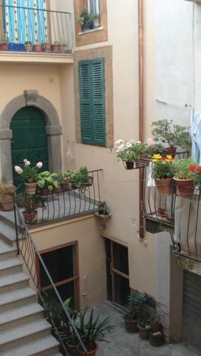 Apartamento Casa Maria E Casa Cristina