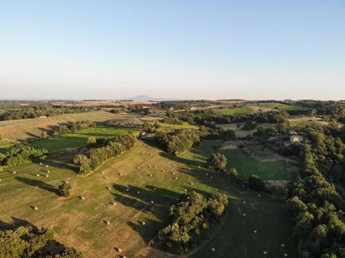 Apartamento La Suite Della Torre Del Bennicelli