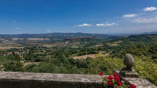 Villa Buon Viaggio 16