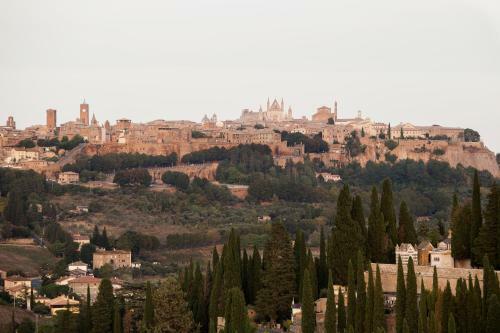 Apartamento Domus Festina Lente
