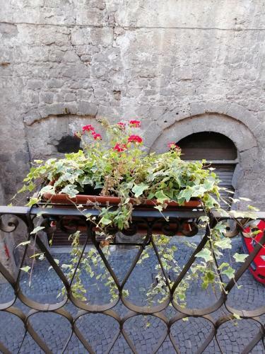 Apartamento Alla Cava Orvieto