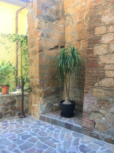 Hostal Industrial Chic House