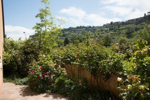 Apartamento Casa Angolo Delle Rose