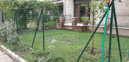 Apartamento Appartamento San Domenico