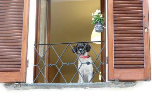 Apartamento Domus Etrusca