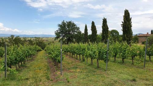 Apartamento Vacanze Sant Andrea