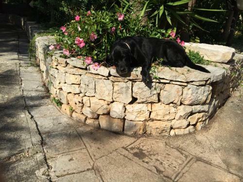 Agroturismo Antica Masseria