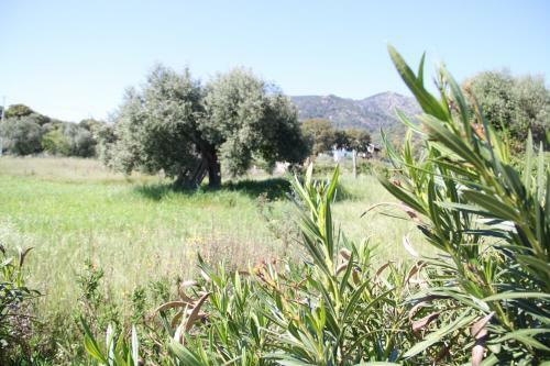 Il Casale Dei Giua