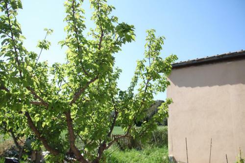 Il Casale Dei Giua