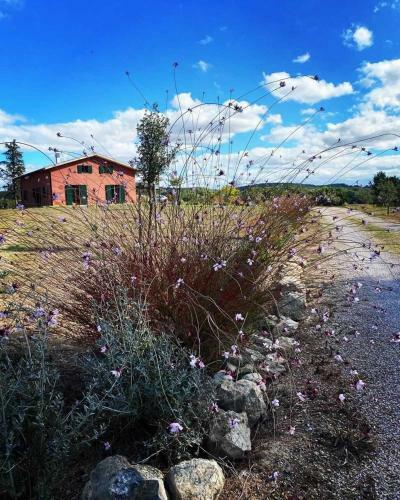Podere Gretano Casetta In Maremma