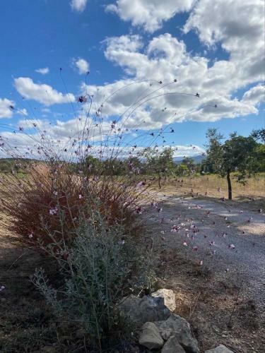 Podere Gretano Casetta In Maremma