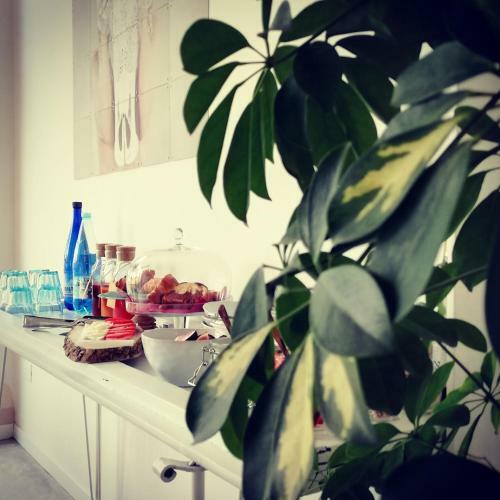 Bed & Breakfast Il Pajo