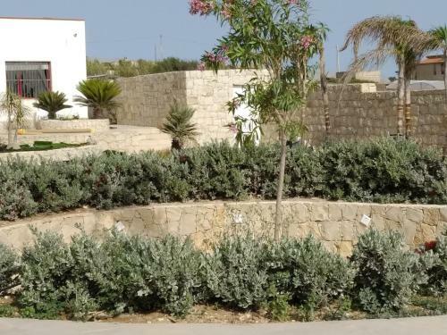 Villa Del Mediterraneo