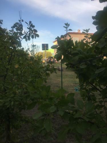 Hostal La Maison Di Zia Annina In Sardegna
