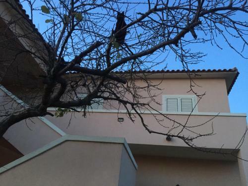 Hostal La Maison Di Zia Annina In Sardegna