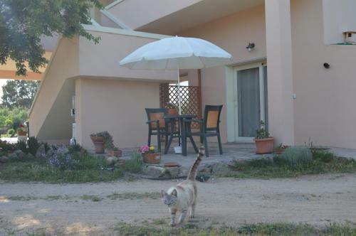 Hostal La Maison Di Zia Annina In Sardegna