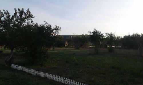 Hostal La Maison Di Zia Annina In Sardegna