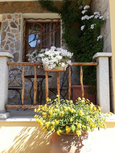 Bed & Breakfast Al Pez Exclusive Rooms