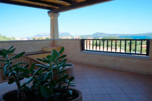 Terrace Sea View Apartment