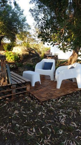 Casa Vacanze Olbia - Alebea -