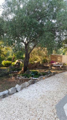 Casa Vacanze Olbia - Alebea -