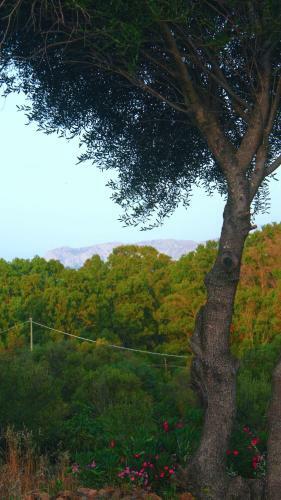 Bed & Breakfast Sole Matto Rooms