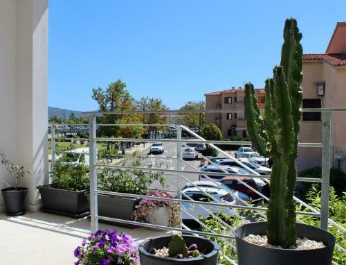 Hostal Citroom - Green City Rooms