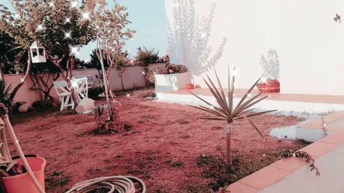 Casa Vacanze Olbia