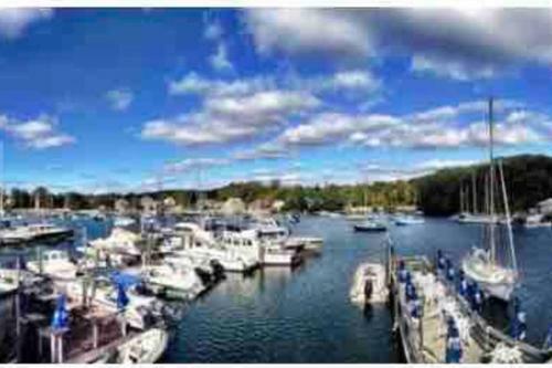 Charming Cottage East Falmouth 1br+1bath Back Deck