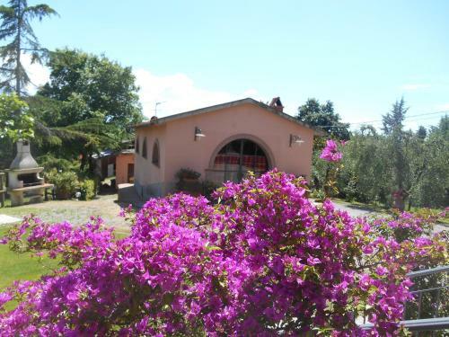 Agroturismo Agriturismo Il Loghino