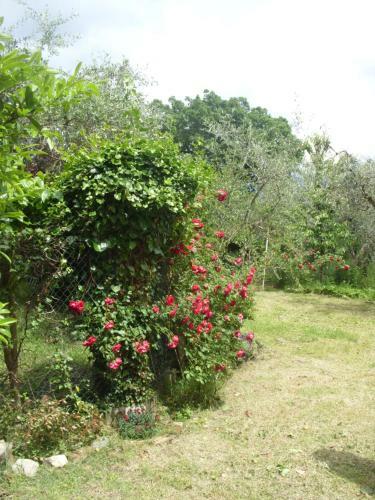 Hostal Giovanna 's House