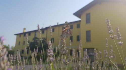 Apartamento Agriturismo Ai Casali