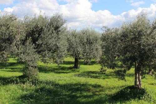 Dimora Dell'asparago
