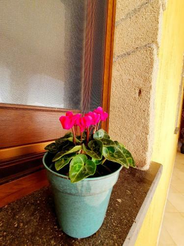 Bed & Breakfast Rooms Is Procilis