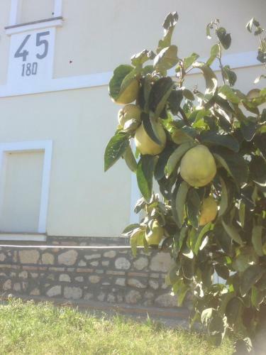 Bed & Breakfast Antic Etrurian Inn