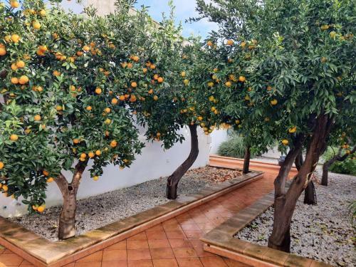 Casa Vacanze Le Site Con Giardino