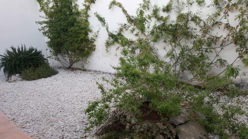 Casa Vacanze Le Site Con Giardino